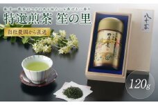 【自社農園から直送】藪北一番茶のコクのある味わいと香ばしい香り　笙の里