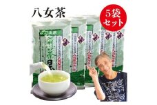 自社製造の深蒸しの八女茶！食事に合うお茶！豊の抄（ゆたかのしょう）100g入り5袋セット
