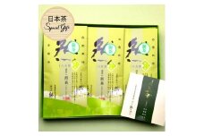 八女茶ギフト 深蒸し茶3袋セット 大自然パッケージ