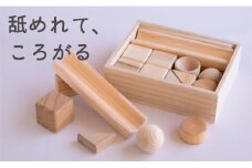 【知育玩具】まあるいかたちのはいったつみき（19ピース）