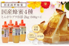 かの蜂 国産蜂蜜 4種セット とんがりプラ容器 2kg（500g×4） はちみつ