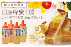 かの蜂 国産蜂蜜 4種セット とんがりプラ容器 2kg（500g×4） はちみつ