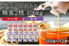かの蜂 プッシュボトル 蜂蜜 2種 6kg（500g×12本） はちみつ