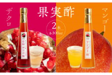 ＜江崎酢醸造元＞果実酢２本セット(ザクロ・マンゴー)