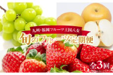 九州・福岡フルーツ王国八女　お楽しみ旬のフルーツ定期便【全３回】｜＜配送不可：北海道・沖縄・離島＞　あまおう シャインマスカット 梨 いちご 苺 なし 果物 先行予約