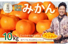 【訳あり】蜜柑（みつかん）２級品みかん 10kg【10月中旬発送開始】