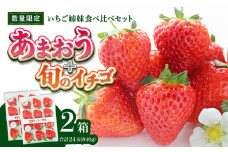 ＜2026年1月～順次発送＞いちご姉妹【あまおう＋旬のイチゴ】食べ比べセット★数量限定★ あまおう いちご 苺 イチゴ フルーツ 果物 くだもの 人気 旬 福岡県産 食べ比べ 採れたて 2品種 セット 冷蔵配送 箱入り 贈答品 プレゼント 贈り物 産地直送 福岡県 八女市