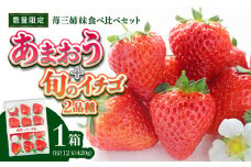 ＜2026年1月～順次発送＞苺三姉妹【あまおう＋旬のイチゴ2品種】食べ比べセット★数量限定★ あまおう いちご 苺 イチゴ フルーツ 果物 くだもの 人気 旬 福岡県産 食べ比べ 採れたて 3品種 セット 冷蔵配送 箱入り 贈答品 プレゼント 贈り物 産地直送 福岡県 八女市
