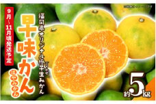 【先行受付】2025年の秋に配送！福岡県オリジナル品種極早生みかん『早味かん』約５kg＜配送不可：北海道・沖縄・離島＞