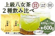 八女茶100％ 煎茶・深むし茶 違いを楽しむ上級茶飲み比べセット 100g×６袋＜岩崎園製茶＞