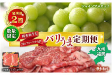 博多和牛と旬のフルーツが届く！ 九州福岡バリうま定期便 【全２回】B｜＜配送不可：北海道・沖縄・離島＞