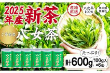 【予約品】2025年産新茶 八女茶100％ 「八十八夜新茶」 100g缶詰×６ ＜岩崎園製茶＞｜2025年5月初旬頃発送