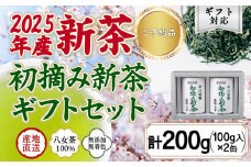【予約限定茶】希少品「2025年産 初摘み新茶」100g缶詰 ２缶化粧箱入 ギフト対応 ＜岩崎園製茶＞｜2025年5月初旬頃発送