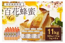 かの蜂 国産 百花 蜂蜜 11kg（500g×10本、1kg×6本）大容量 純粋はちみつ 保存食 防災グッズ
