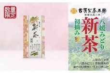 古賀製茶本舗　奥八女初摘み新茶　八媛みどり「雅」特上煎茶　１００ｇ【2024年5月以降発送】 【メール便】