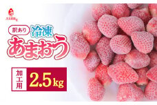 訳あり！加工用！冷凍あまおう たっぷり2.5kg＜ひらい観光農園＞ あまおう いちご 完熟 イチゴ 苺 シャーベット スムージー ジャム お菓子作り 加工用 期間限定 数量限定 福岡県 八女市