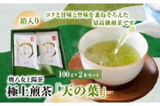 奥八女上陽茶　極上煎茶「天の葉」100ｇ×2本セット箱