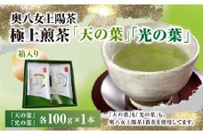 奥八女上陽茶　極上煎茶「天の葉」100ｇ・極上煎茶「光の葉」100ｇセット箱