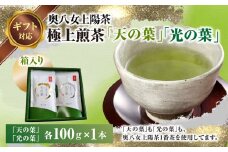 【ギフト用】奥八女上陽茶　極上煎茶「天の葉」100ｇ・極上煎茶「光の葉」100ｇセット箱