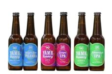 銀賞 受賞！クラフトビール３種６本飲み比べ「ピルスナー・ぶどうIPA・深蒸しIPA」福岡八女ブルワリー