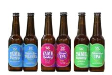 クラフトビール 飲み比べ3種6本 【ピルスナー･深蒸しIPA 銀賞受賞 /  ぶどうIPA  銅賞受賞】 福岡 八女ブルワリー