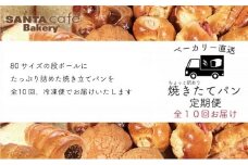 パン屋さん直送！焼きたてパン詰め合わせ定期便【全１０回】 パン 詰め合わせ 定期便 朝食 美味しい 職人 人気 焼きたて 惣菜パン 菓子パン
