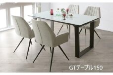 GT150テーブル【 2REG ＜マーブル＞】＜配送不可：北海道・沖縄・離島＞