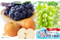 福岡八女　お楽しみ夏のフルーツ定期便Ａ｜＜配送不可：北海道・沖縄・離島＞
