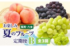 福岡八女　お楽しみ夏のフルーツ定期便Ｂ｜＜配送不可：北海道・沖縄・離島＞