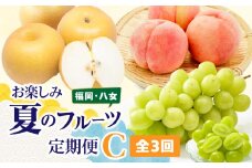福岡八女　お楽しみ夏のフルーツ定期便Ｃ｜＜配送不可：北海道・沖縄・離島＞