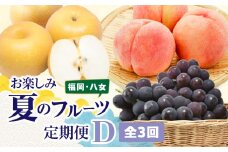 福岡八女　お楽しみ夏のフルーツ定期便Ｄ｜＜配送不可：北海道・沖縄・離島＞