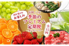 福岡・八女　季節のお楽しみプレミアム定期便【奥八女コース】全１５回 魚 肉 野菜 フルーツ 果物 九州 グルメ 食べ物 旬の味覚 いちご あまおう シャインマスカット もつ鍋 特産品 奥八女 八女 福岡 定期便