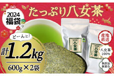 【2024年 福袋】創業73年のお茶屋が作る 八女茶100％煎茶 1.2kg ＜岩崎園製茶＞