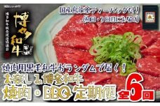 【福岡の国産黒毛和牛】博多和牛の焼肉・BBQお楽しみ定期便【全６回】
