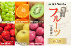 福岡フルーツ定期便【全6回】盛りだくさん果物お届け定期便　JAふくおか八女からお届け！！ 梨 豊水 幸水 シャインマスカット みかん ミカン あまおう いちご 苺 イチゴ 貴陽 すもも キウイ フルーツ 果物 くだもの 人気 旬 高糖度 甘い 福岡県産 アフター補償 数量限定 期間限定 産地直送 全6回 定期便 福岡県 八女市