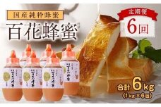 【全6回】 定期便 かの蜂 国産 百花蜂蜜 合計6kg（とんがり容器1kgを毎月1本お届け） 純粋はちみつ ハチミツ 非加熱 ハニー 大容量 定期便 美容 健康 自然食品 福岡県