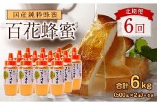 【全6回】 定期便 かの蜂 国産 百花蜂蜜 合計6kg（とんがり容器500gを毎月2本お届け） 純粋はちみつ ハチミツ 非加熱 ハニー 大容量 長期保存 美容 健康 健康食品 定期便