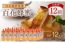 【全12回】 定期便 かの蜂 国産 百花蜂蜜 合計12kg（とんがり容器500gを毎月2本お届け）