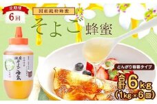 【全6回】 定期便 かの蜂 国産 そよご蜂蜜 合計6kg（とんがり容器1kgを毎月1本お届け）