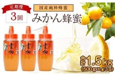 【全3回】 定期便 かの蜂 国産 みかん蜂蜜 合計1.5kg（とんがり容器500gを毎月1本お届け）