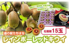 レインボーレッドキウイ 化粧箱15玉【2024年10月～順次発送】