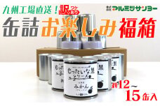 九州福岡工場直送！訳あり缶詰お楽しみ福箱 フルーツ 果物 惣菜 規格外 缶詰 保存食 非常食 かんづめ 缶詰福袋