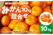 ＜道の駅たちばなオリジナル＞みかん10㎏詰合せ