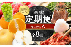 福岡・八女満喫定期便プレミアム全8回A＜配送不可：北海道・沖縄・離島＞不知火 あまおう シャインマスカット梨 和牛 しゃぶしゃぶ すき焼き もつ 焼肉 米