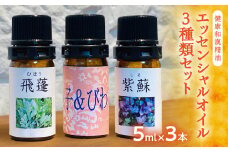 健康和漢精油３本セット
