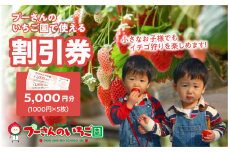 プーさんのいちご園　割引券（5,000円分）イチゴ狩り 割引 チケット いちご イチゴ 苺 体験型 福岡県 八女市