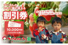 プーさんのいちご園　割引券（10,000円分） イチゴ狩り 割引 チケット いちご イチゴ 苺 体験型 福岡県 八女市