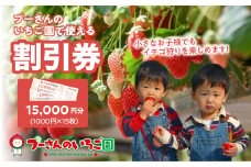 プーさんのいちご園　割引券（15,000円分） イチゴ狩り 割引 チケット いちご イチゴ 苺 体験型 福岡県 八女市