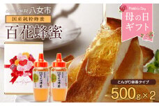 母の日ギフト 国産百花蜂蜜500g（とんがり容器）×2本