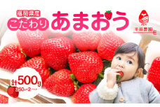 こだわりあまおう 250g×2パック（合計500g）｜2025年12月～順次発送＜ひらい観光農園 いちご イチゴ 苺 旬 期間限定 数量限定 デザート フルーツ 福岡県 八女市